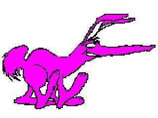 aardvark.jpg